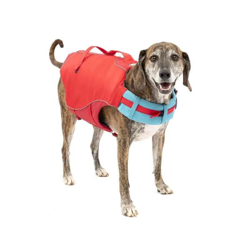 Dog Life Jacket